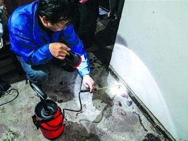 荔湾白蚁防治站怎么预防疫情危害的白蚁