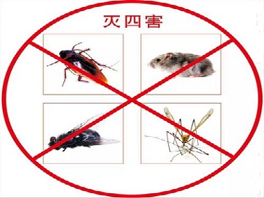黄埔专业杀虫公司告诉你定期实行虫害防治的必要