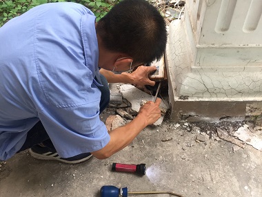 荔湾验收白蚁机构灭治白蚁危害的致命误区